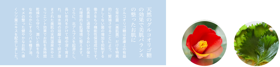 天然のグルコオリゴ糖の効果で美肌バランスの整ったお肌にグルコオリゴ糖は皮膚上の有益な常在菌（美肌菌）だけを特異的に繁殖させることにより、好ましくない菌の増加を抑制する働きをもつ機能性保湿成分です。肌表面に適度なうるおいが保たれ理想的な肌環境に整えます。さらに、北アルプスを起源とし、長い年月をかけて地中深く育まれ、採水地の珪酸土壌で研ぎ澄まされた美肌の天然温泉水やエモリエント効果でお肌を長時間乾燥から守り、潤いと艶を与えなめらかにするツバキ種子油、キメの整った健やかなお肌へ導くシソ葉エキスを配合しました。